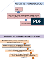 Prosedur Kerja Intramuscular