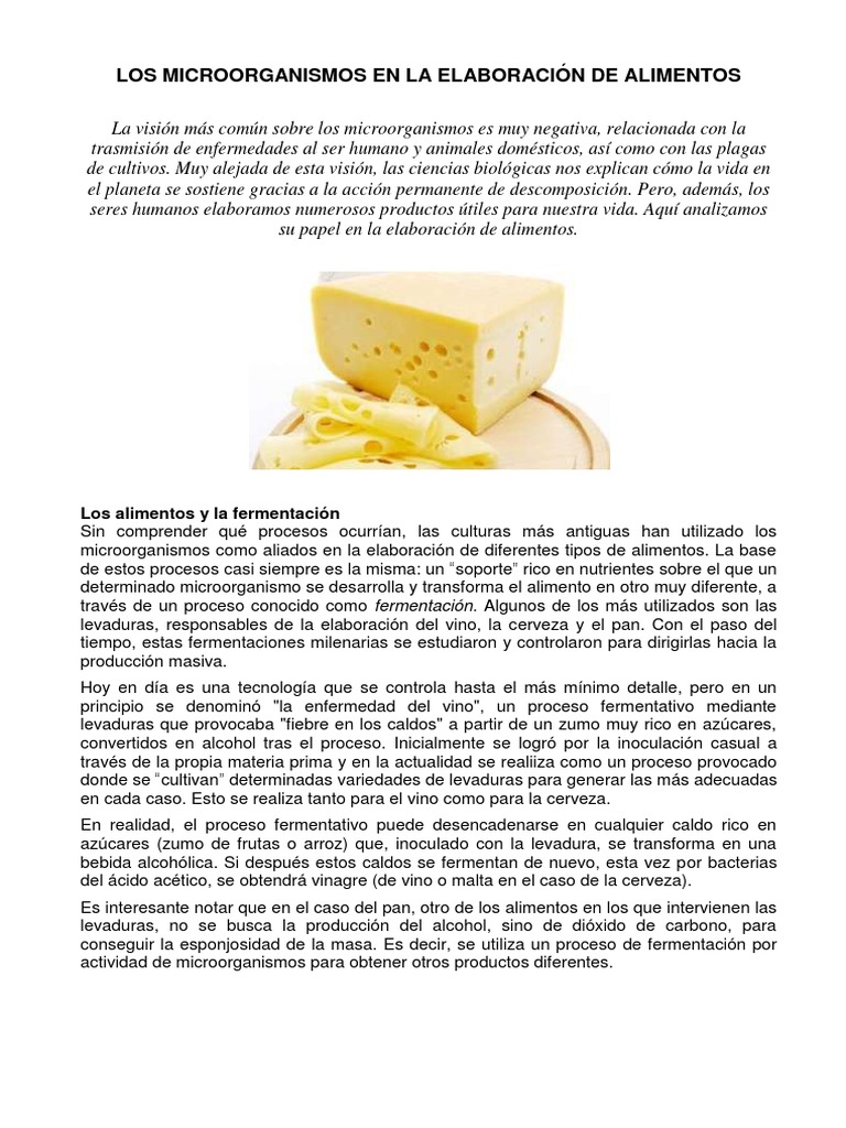 Los Microorganismos en La Elaboración de Alimentos | PDF | Levadura | Leche