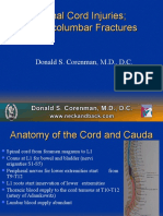 Spinal Cord Injuries Thoracolumbar Fractures