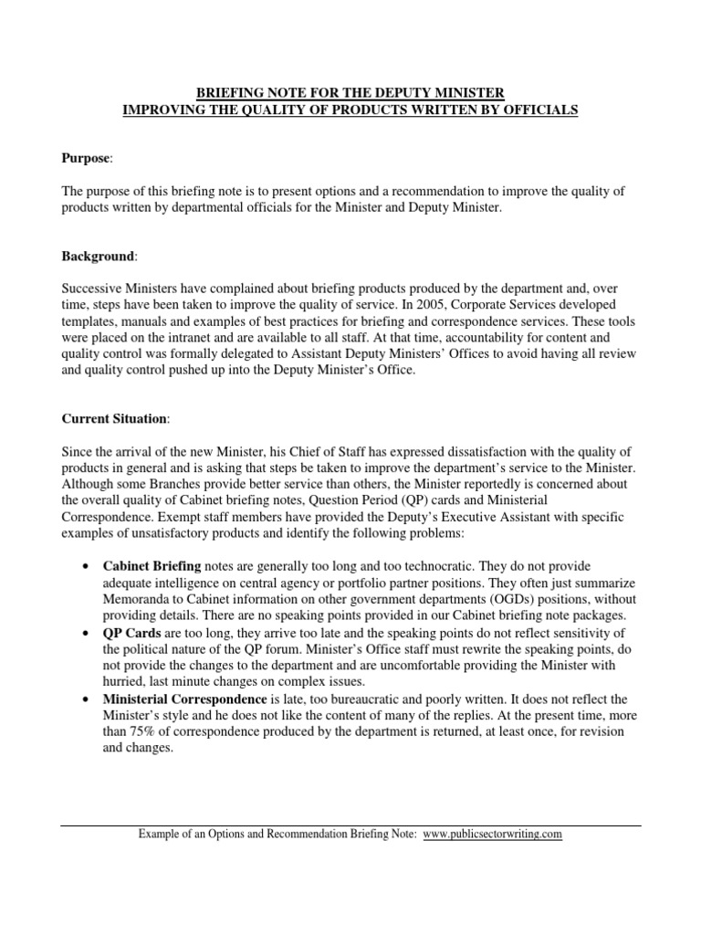 Options Briefing Note PDF (Government