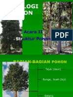 Kuliah 2 (Struktur Pohon) D3 2013-1