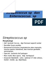 Streptococcus SP Dan Enterococcussp
