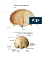 FUNCIONES MENTALES SUPERIORES