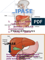 LIPASE