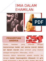 Anemia Dalam Kehamilan