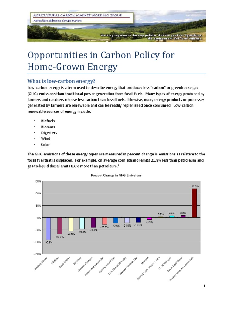 ACMWG - Bioenergy and Climate Policy | PDF | Low Carbon Economy ...