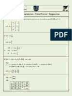 Ejercicios Integradores Primer Parcial Respuestas