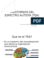 Trastornos Del Espectro Autista (Tea)