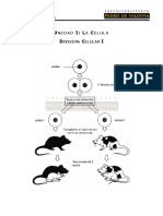 División Celular I PDF