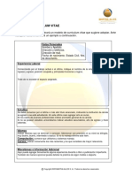 cv-instructivo-modelo.pdf