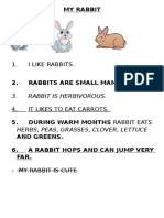 I Like Rabbits.: My Rabbit