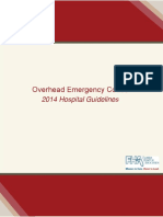Em-2014 Recommendations For Hospital Emergency Codes Final