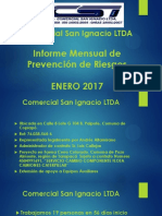 Presentaciòn Informe Prevencion Csi PDF