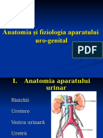 Anatomia Si Fiziologia Aparatului Urogenital