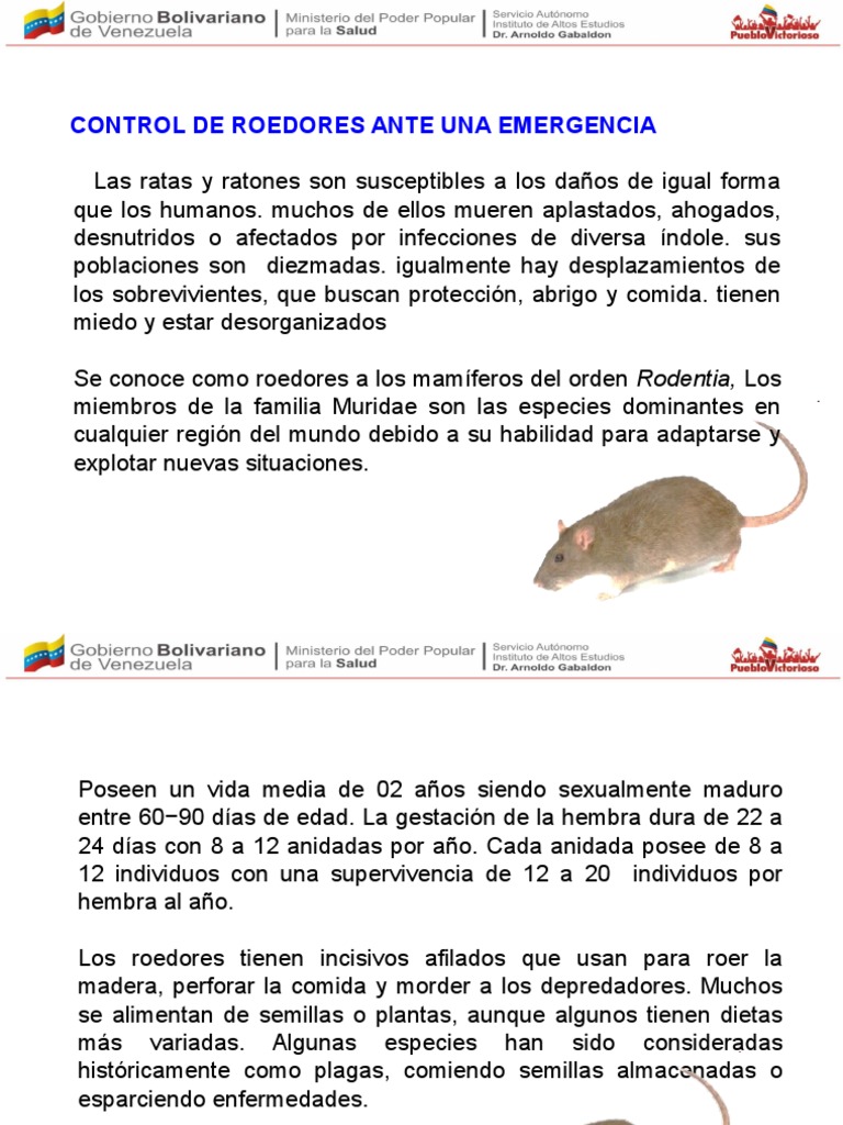 Control de Roedores en Emergencias | PDF | Rata | Roedor