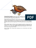 Burung Puyuh Jayawijaya Memiliki Nama Latin Anurophasis Monorthonyx