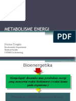 METAB ENERGI.pptx
