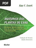 Anatomia-das-plantas-de-ESAU-pdf.pdf