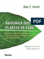 Anatomia Das Plantas de ESAU PDF