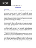 Download Laporan Budidaya Tanaman Sagu by Ummi Noviqah Zarliyanti SN345386849 doc pdf