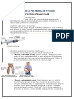 Inyección intramuscular: lugares, técnica y cuidados