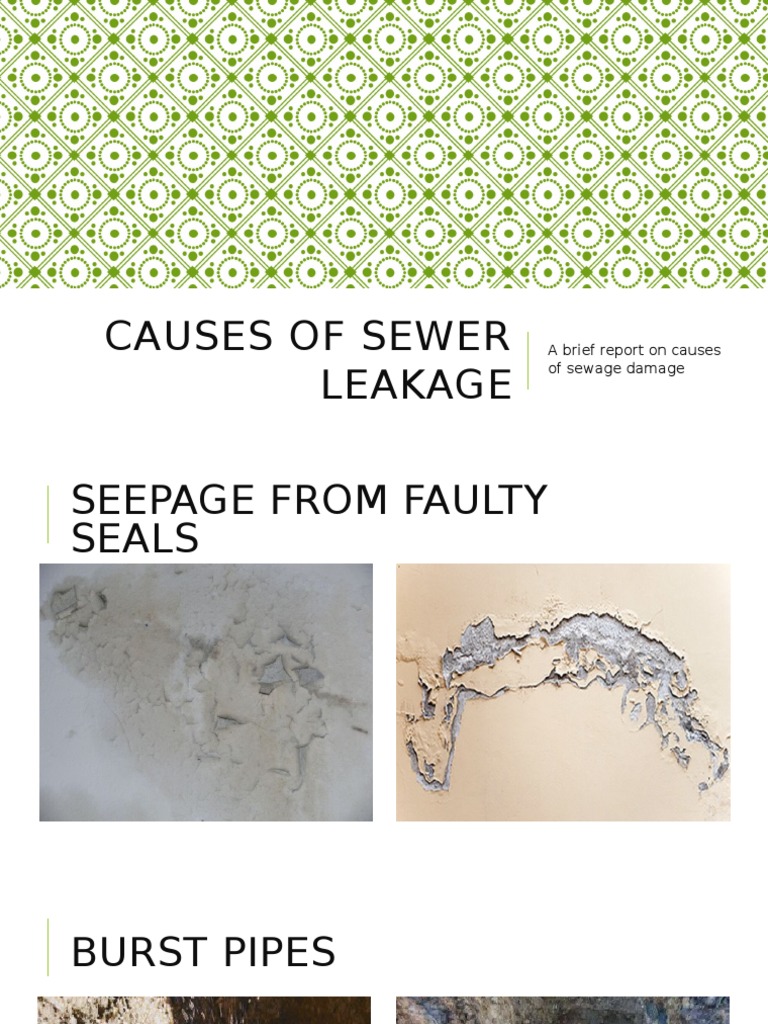 Causes of Sewage Damage Explained | PDF