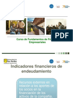 _de192d3dfd452cbf826ef371695580d2_6-Indicadoresfinancierosendeudamiento