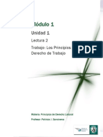 Lectura 2 -  Los Principios del Derecho del Trabajo.pdf