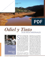 11-Artículo Divulgación D&M 2013 Ríos PDF