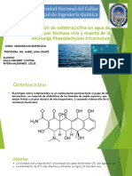 Extracción de Oxitetraciclina en Agua de Mar Por Biomasa Viva y Muerta de La Microalga Phaeodactylum Tricornutum