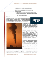 14._Impacto_ambiental_lectura_2009_.pdf
