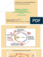 Genetica Vegetal-1