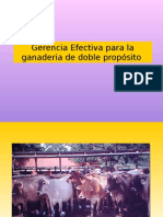 Gerencia GDP. Dr. Eleazar S.