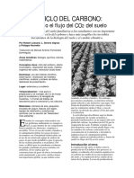 elciclodelcarbono.pdf
