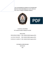USU NiCE 2014-UNIVERSITAS DIPONEGORO-PERAN FPESD DALAM.pdf