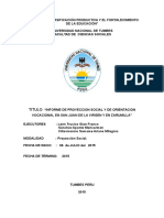 Informe Final de Proyeccion Social 1