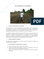 zonas de reserva campesina. documento academico 1.pdf