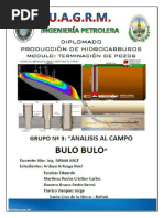 Download Proyecto Campo BULO BULO by Hugo Llanos SN345482587 doc pdf