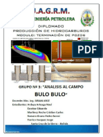 Proyecto Campo BULO BULO