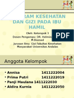 M3.program Kesehatan Dan Gizi Pada Ibu Hamil