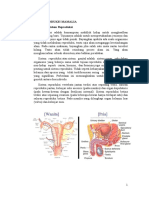 Makalah Sistem Reproduksi