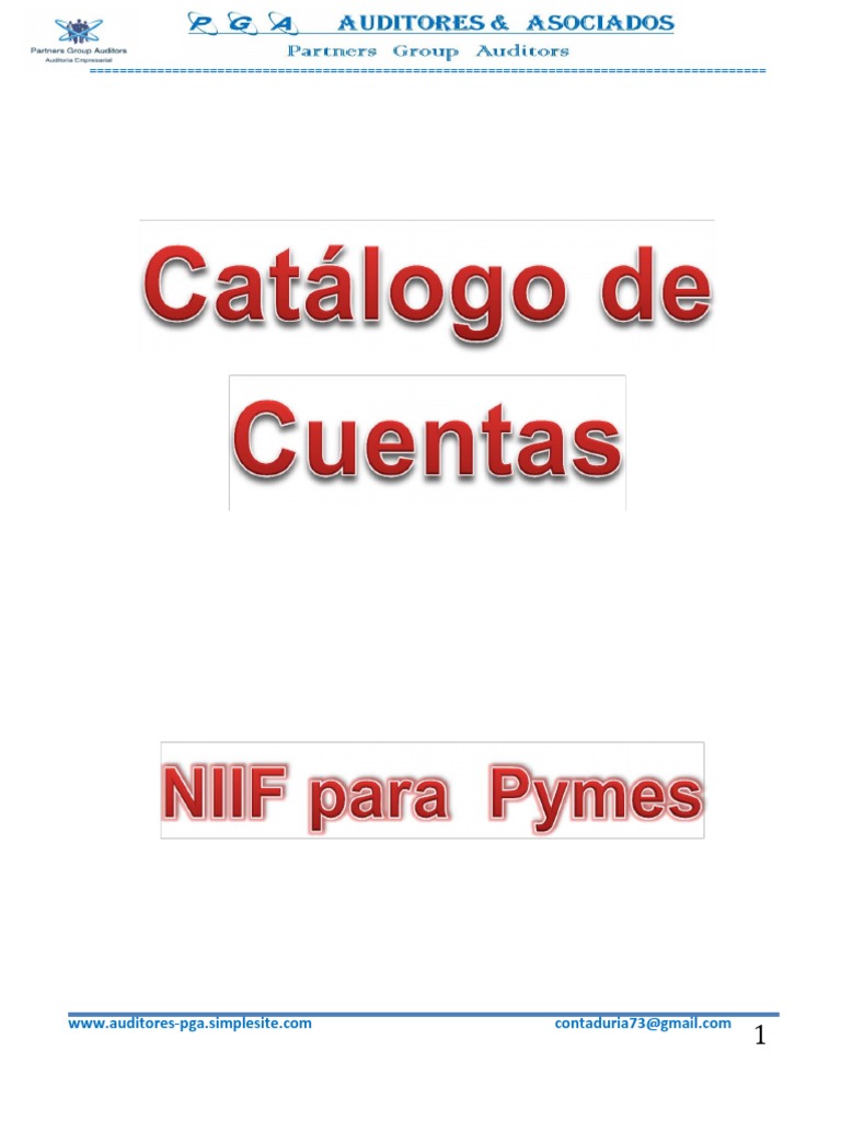 Catálogo de Cuentas NIIF para PYMES | PDF | Contabilidad | Bancos
