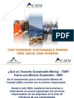 TSM Sustainable Mining