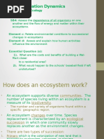 population dynamics  2 