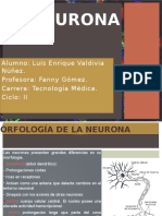 Fisiología Neurologica