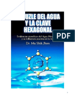 Traducción Al Español Del Libro El Puzle Del Agua y La Clave Hexagonal.