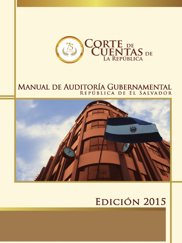 Manual de Auditoría Gubernamental | PDF | Auditoría financiera | Contralor