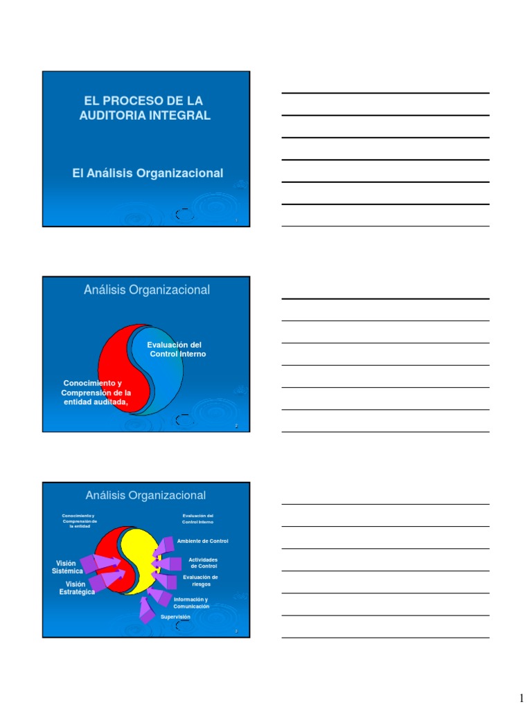 3 El Proceso de La Auditoria Integral | PDF | Planificación | Business