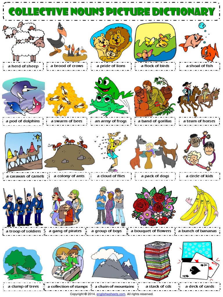 collective nouns esl picture dictionary worksheet.pdf