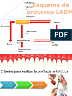 Criterios para Realizar La Profilaxis Antibiótica